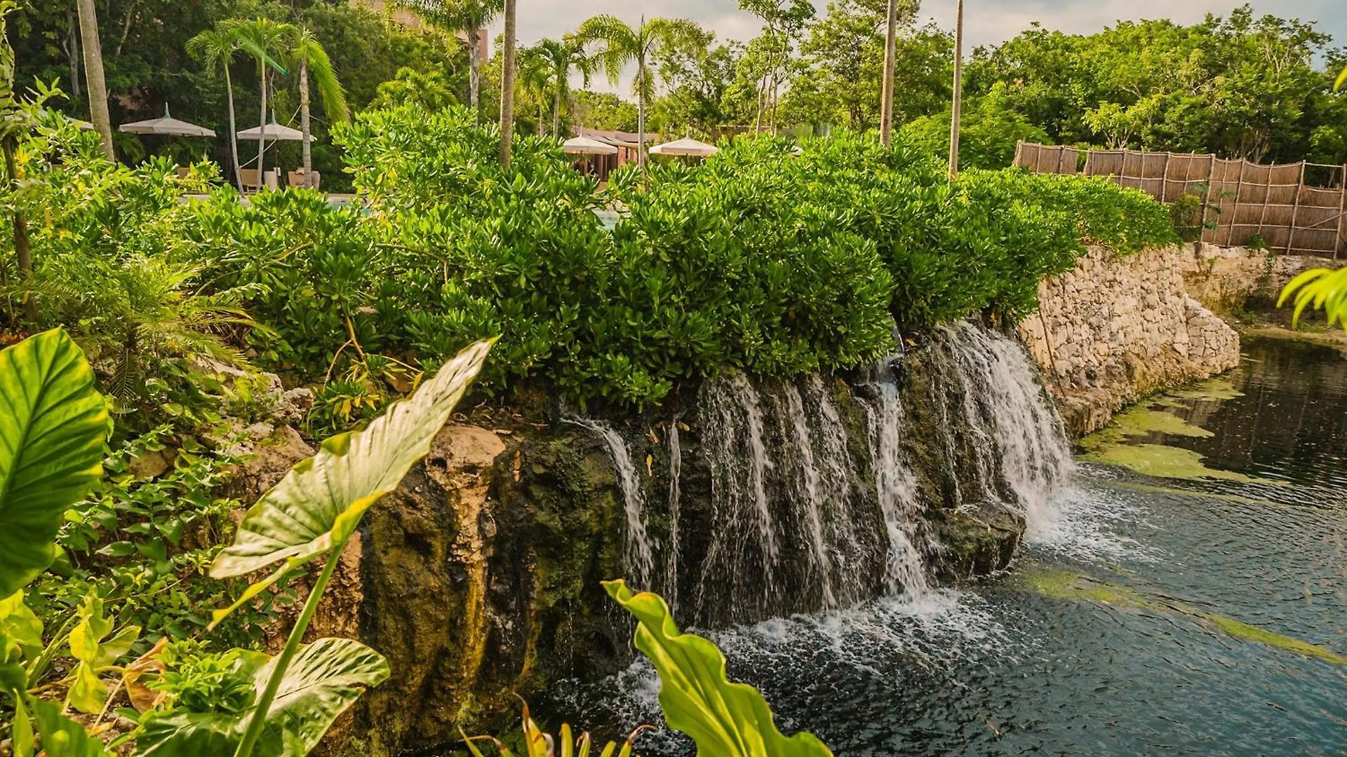 Lejlighed Divine 2Br W Pool Gym Yoga Classes Restaurant Tulum